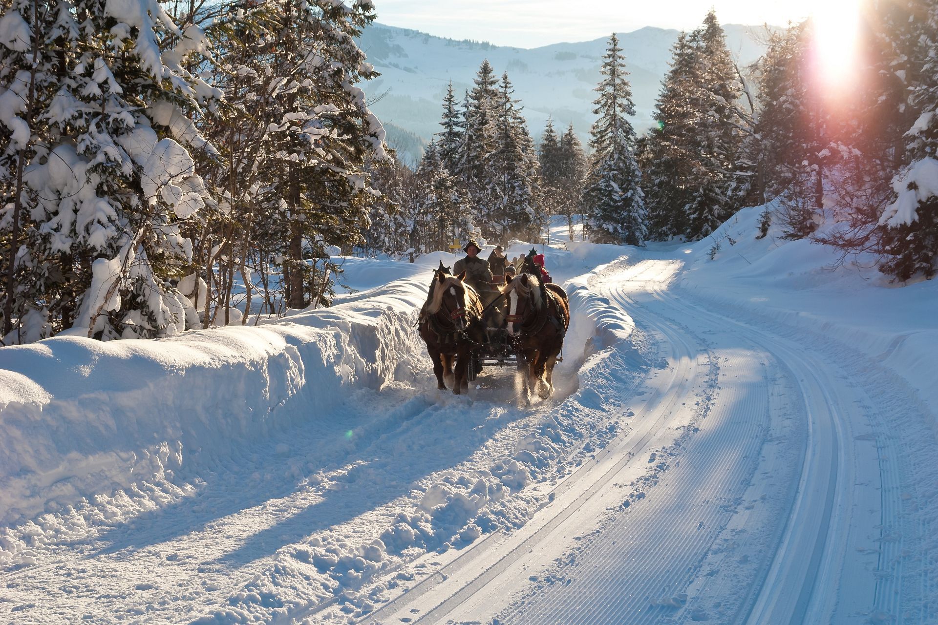 Perdekutschenfahrt in der Region Hochkönig