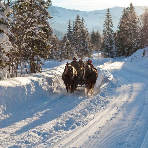 Perdekutschenfahrt in der Region Hochkönig