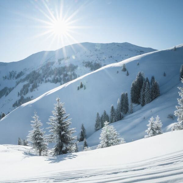 Winter in der Region Hochkönig